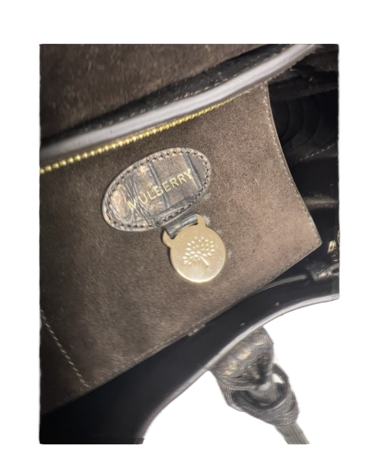 Mulberry Bayswater Bag Limited Edition - The Luxury Savvy