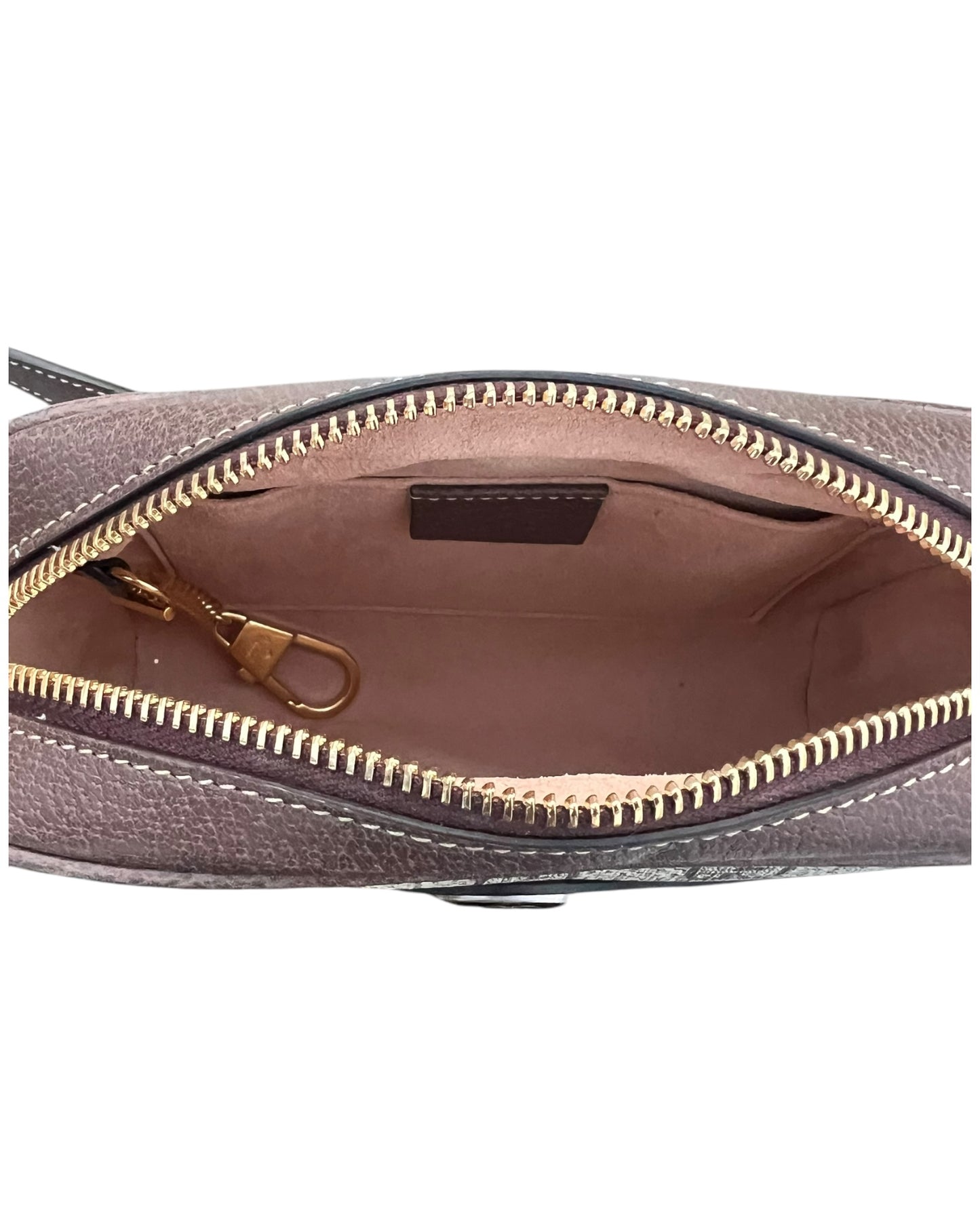 Gucci Ophidia Mini Shoulder Bag - The Luxury Savvy