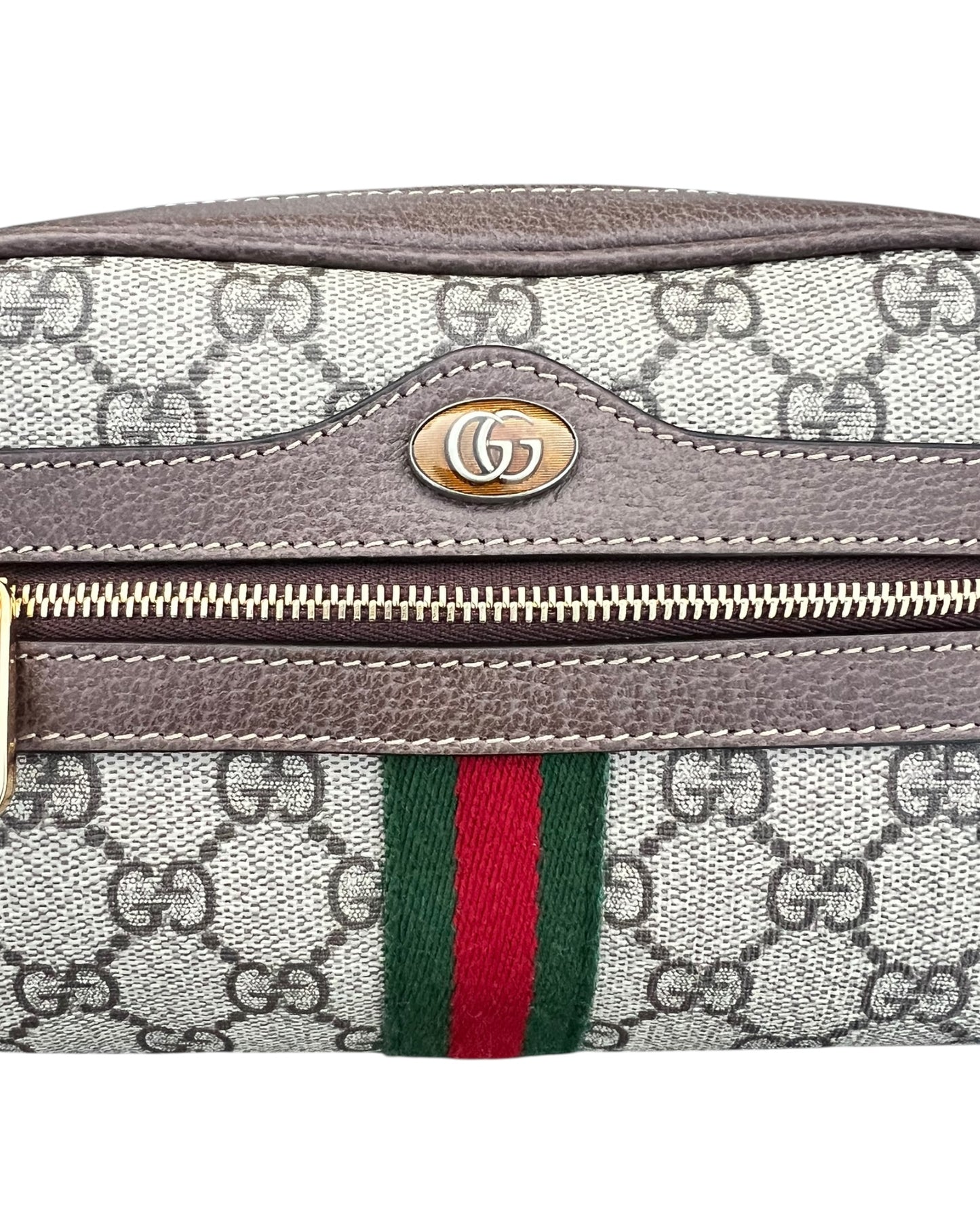 Gucci Ophidia Mini Shoulder Bag - The Luxury Savvy