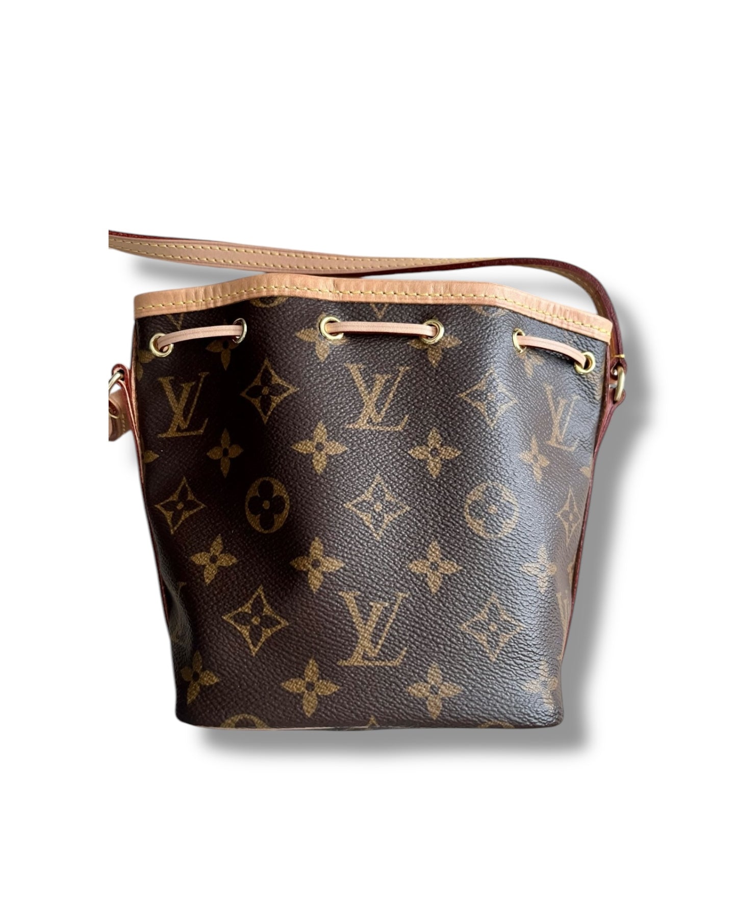 Louis Vuitton Nano Noé in Monogram Canvas - The Luxury Savvy