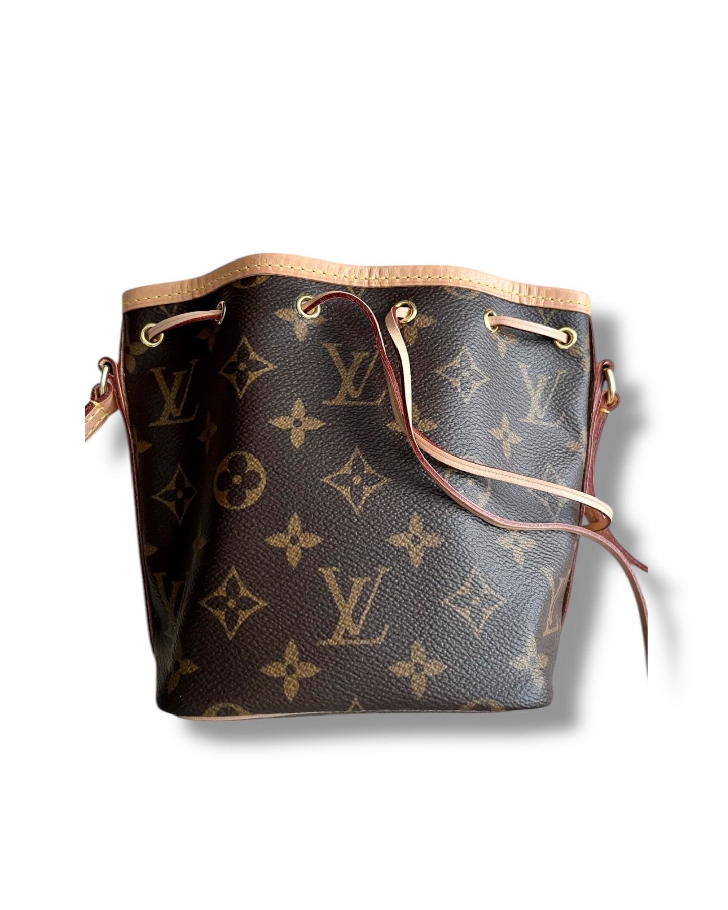 Louis Vuitton Nano Noé in Monogram Canvas - The Luxury Savvy