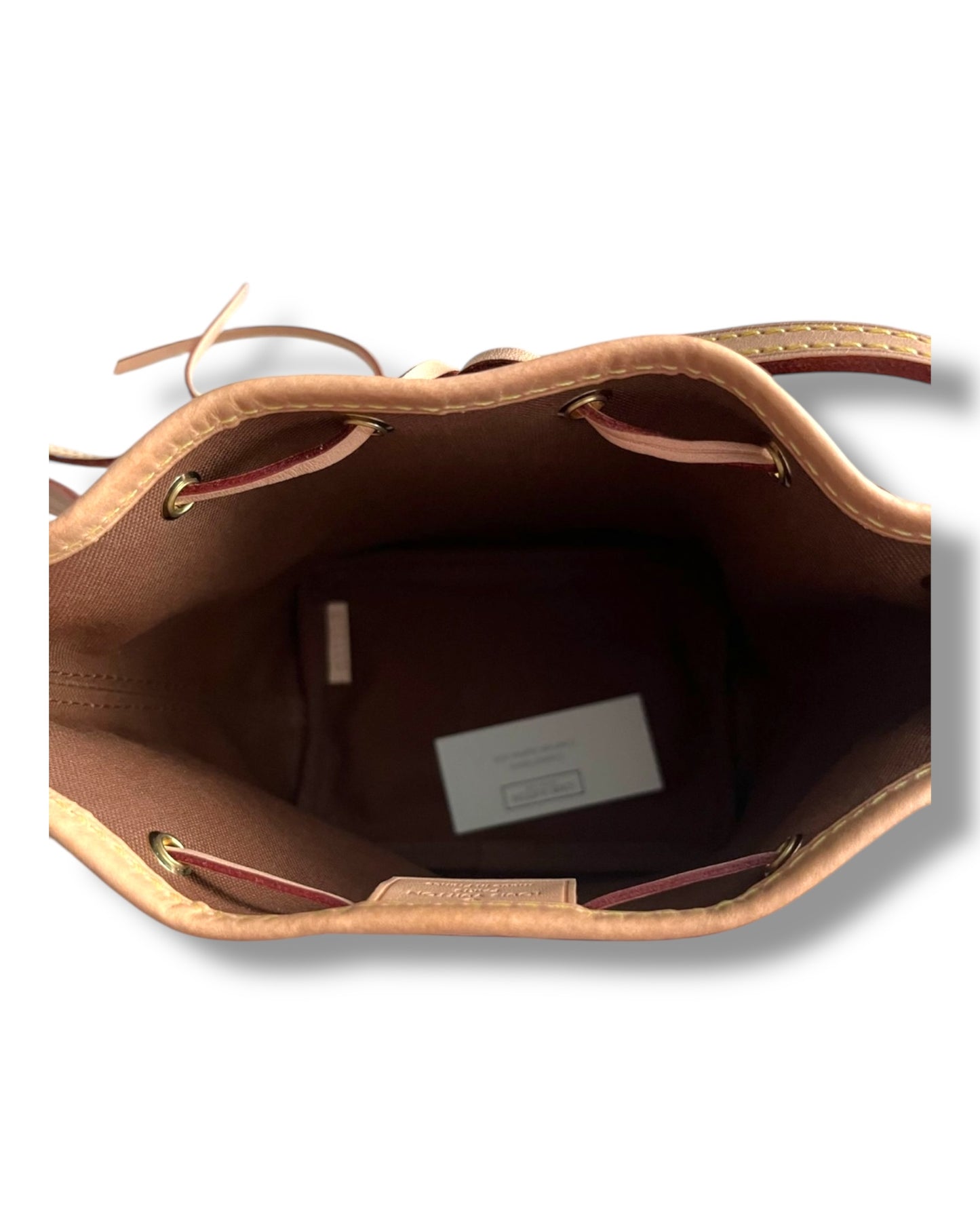 Louis Vuitton Nano Noé in Monogram Canvas - The Luxury Savvy