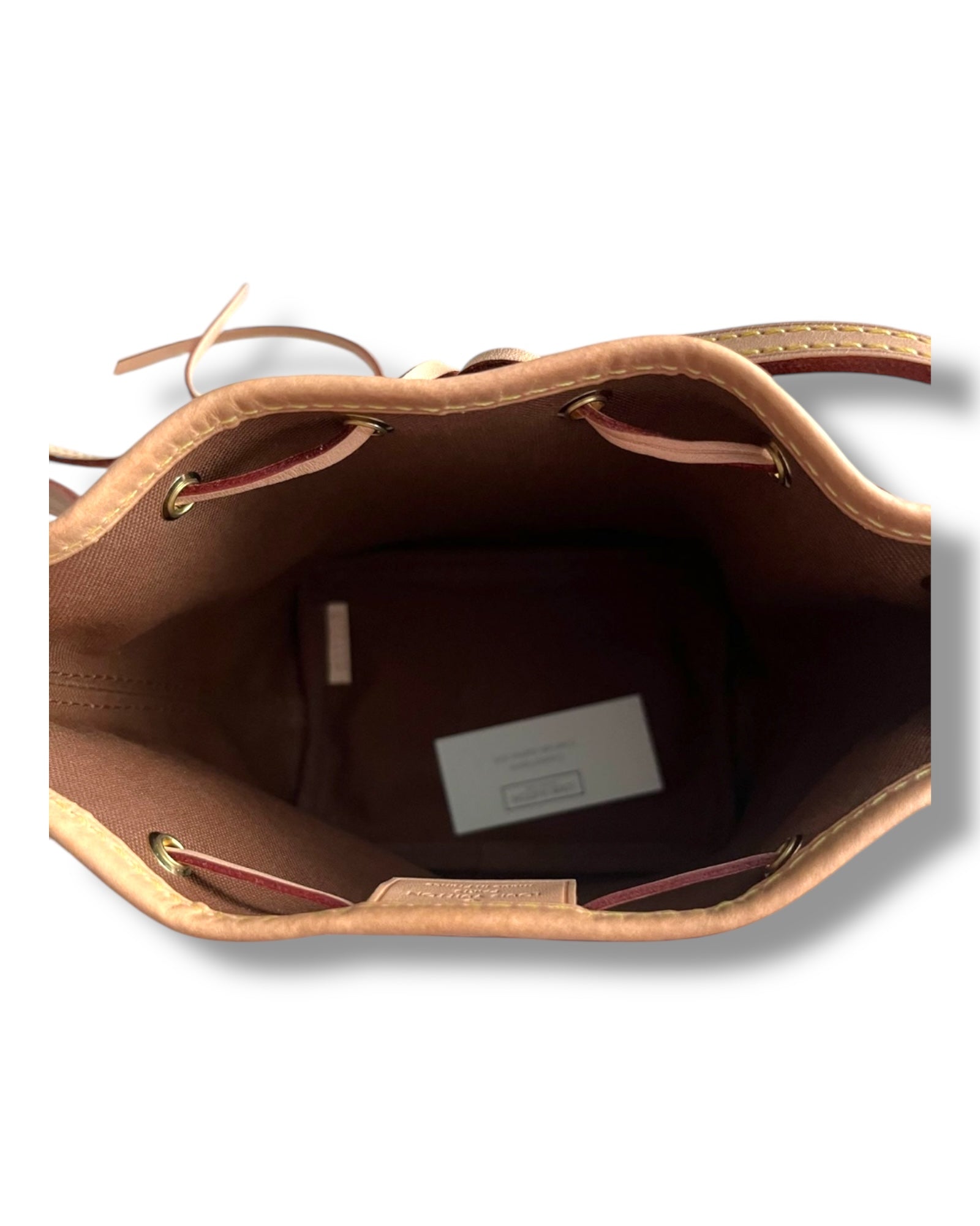 Louis Vuitton Nano Noé in Monogram Canvas - The Luxury Savvy