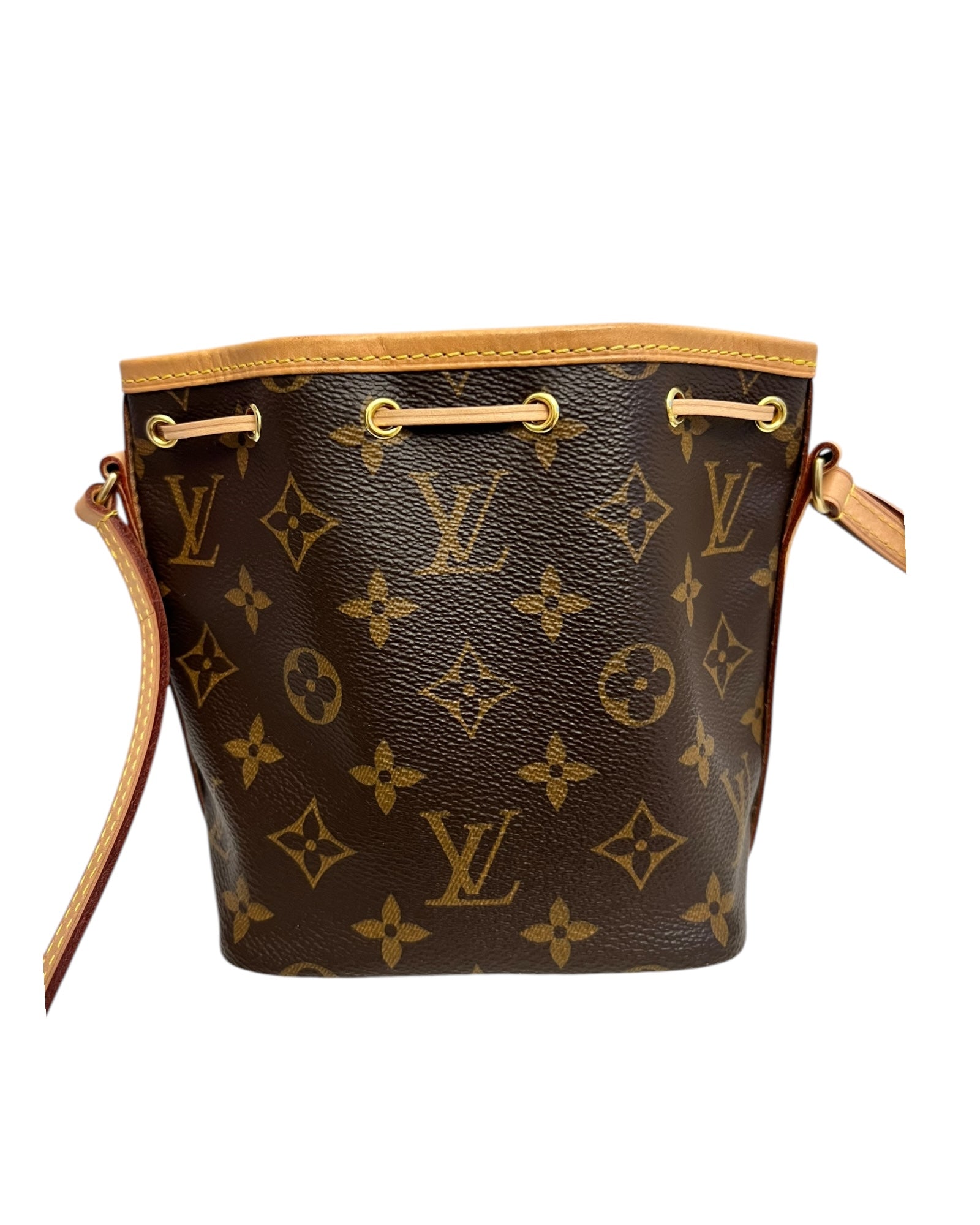 Louis Vuitton Nano Noé in Monogram Canvas - The Luxury Savvy