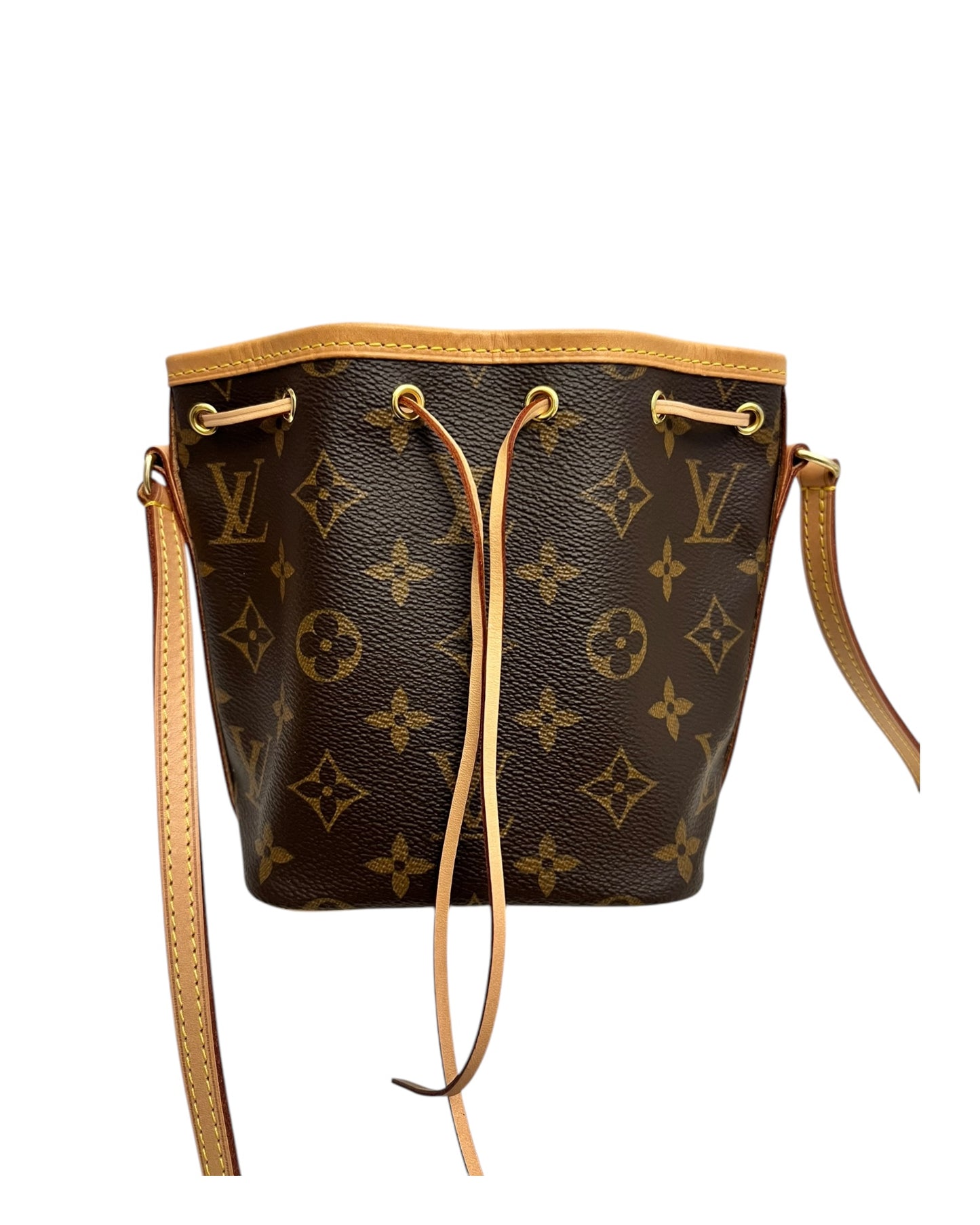 Louis Vuitton Nano Noé in Monogram Canvas - The Luxury Savvy