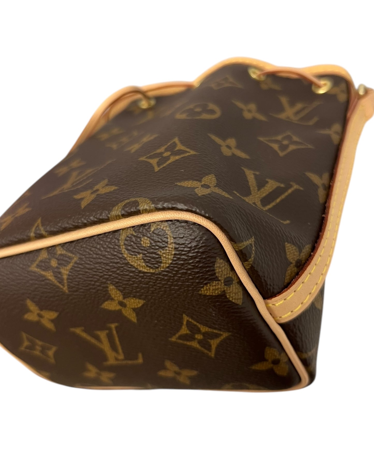 Louis Vuitton Nano Noé in Monogram Canvas - The Luxury Savvy