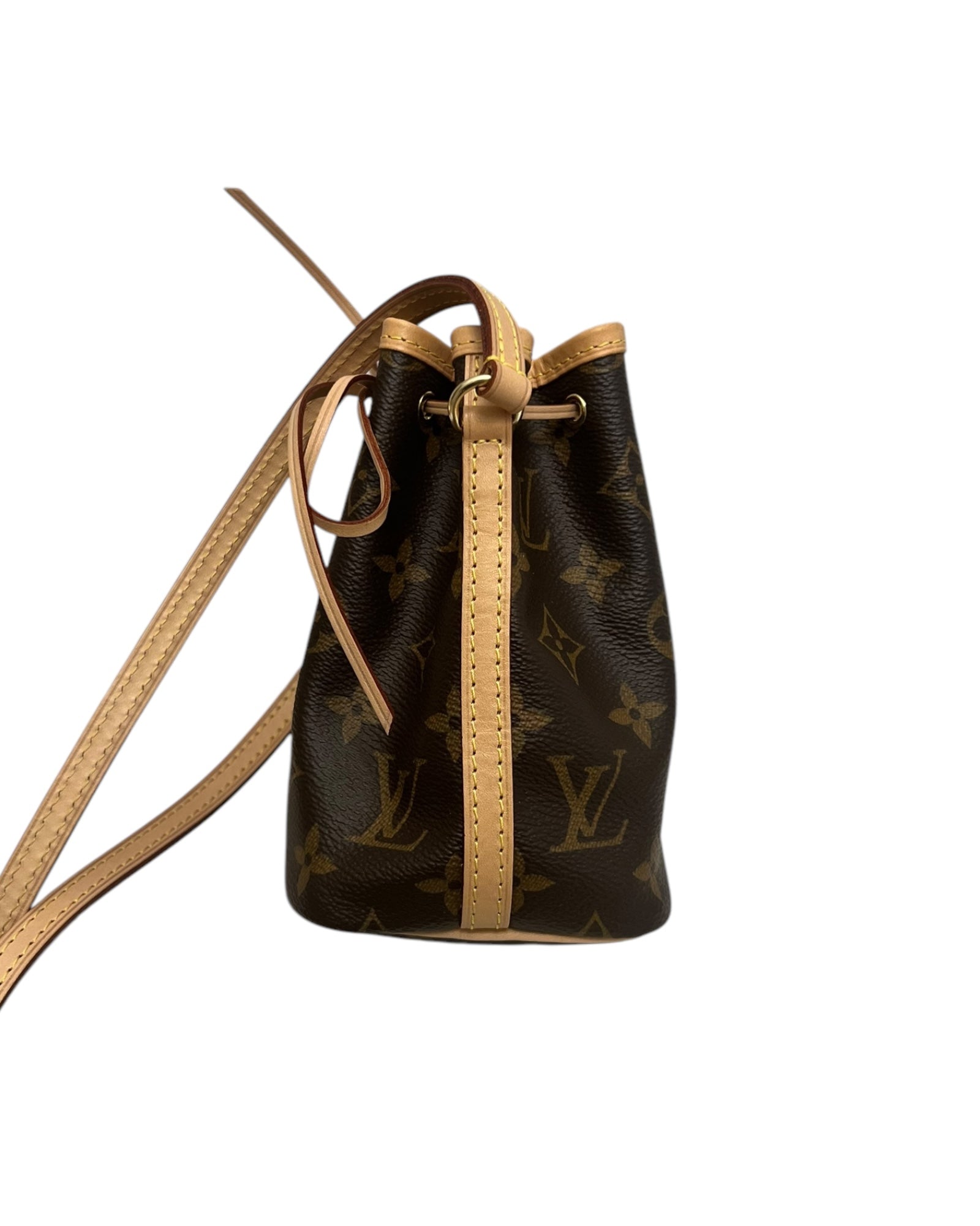Louis Vuitton Nano Noé in Monogram Canvas - The Luxury Savvy