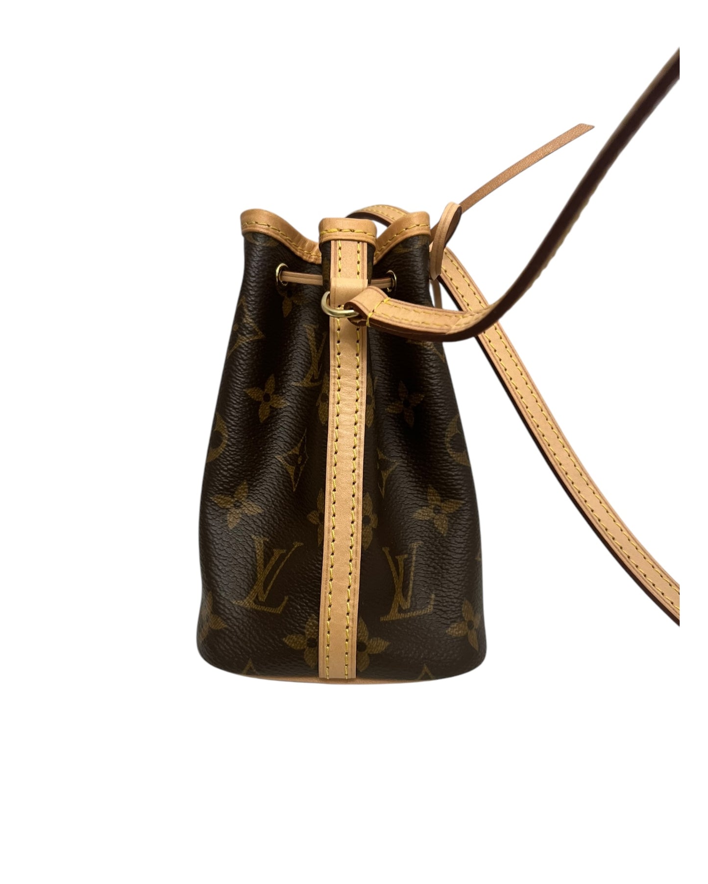 Louis Vuitton Nano Noé in Monogram Canvas - The Luxury Savvy