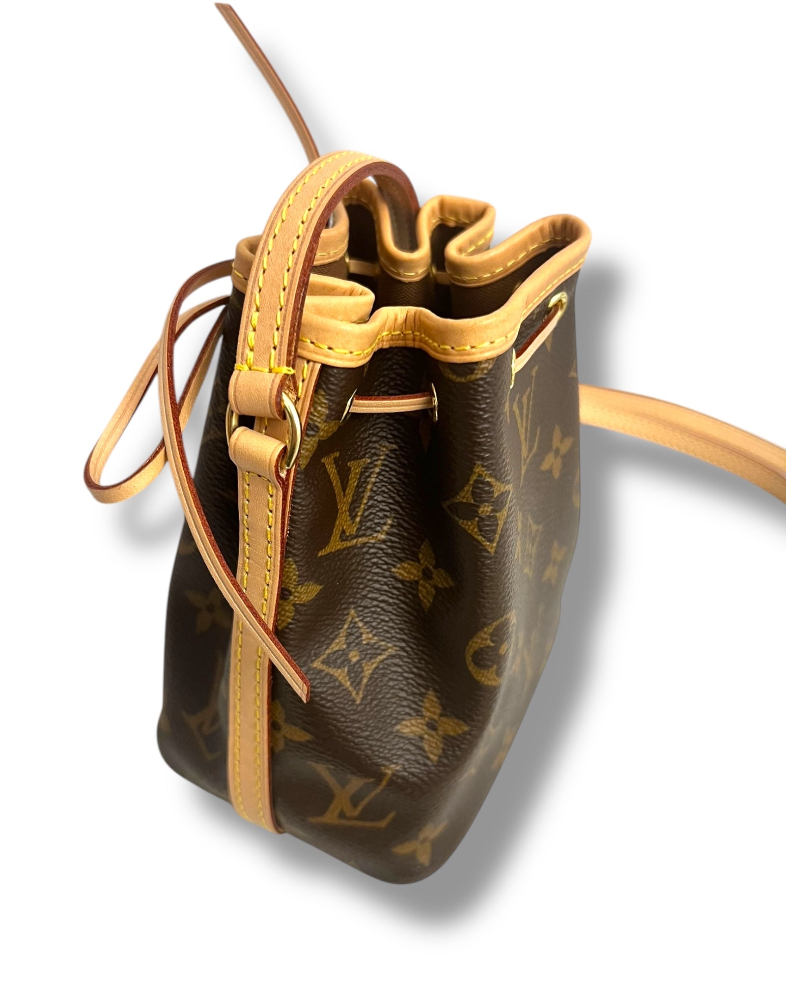 Louis Vuitton Nano Noé in Monogram Canvas - The Luxury Savvy
