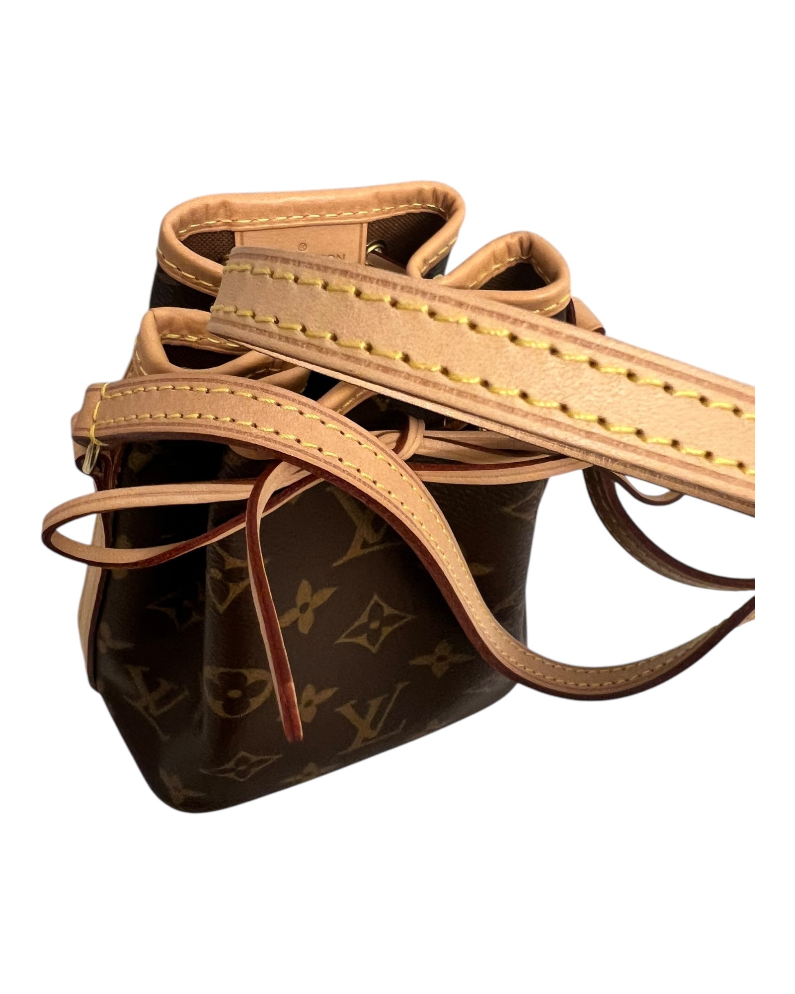 Louis Vuitton Nano Noé in Monogram Canvas - The Luxury Savvy