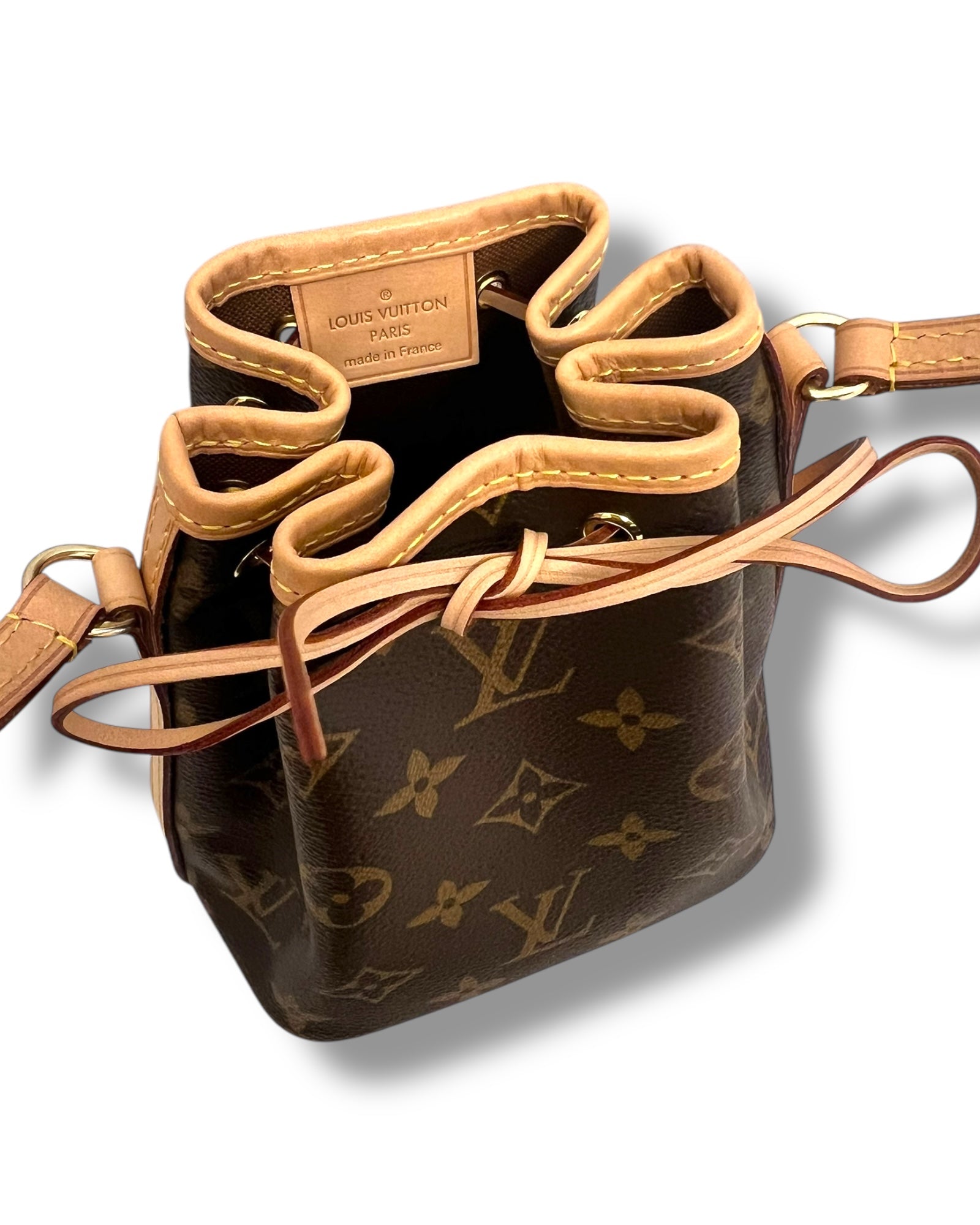 Louis Vuitton Nano Noé in Monogram Canvas - The Luxury Savvy