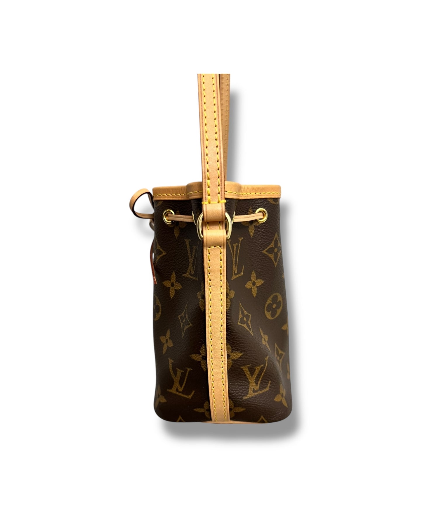 Louis Vuitton Nano Noé in Monogram Canvas - The Luxury Savvy