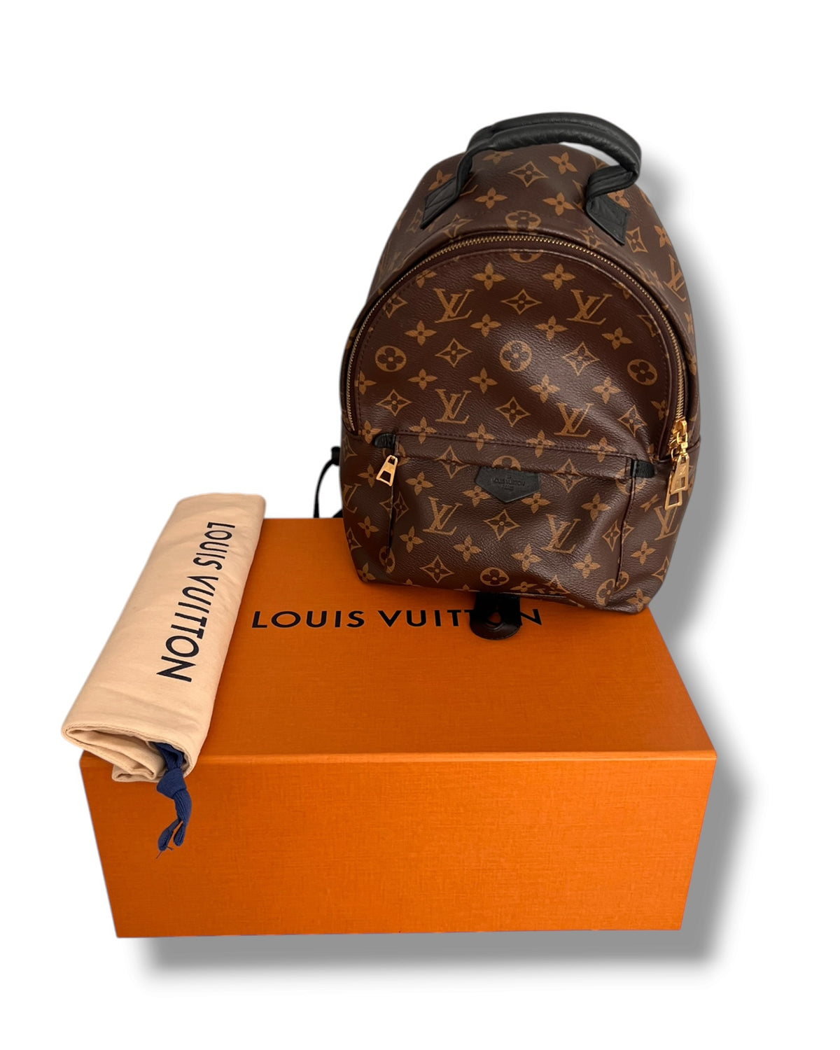 Louis Vuitton Palm Springs MM Backpack – Monogram Canvas - The Luxury Savvy