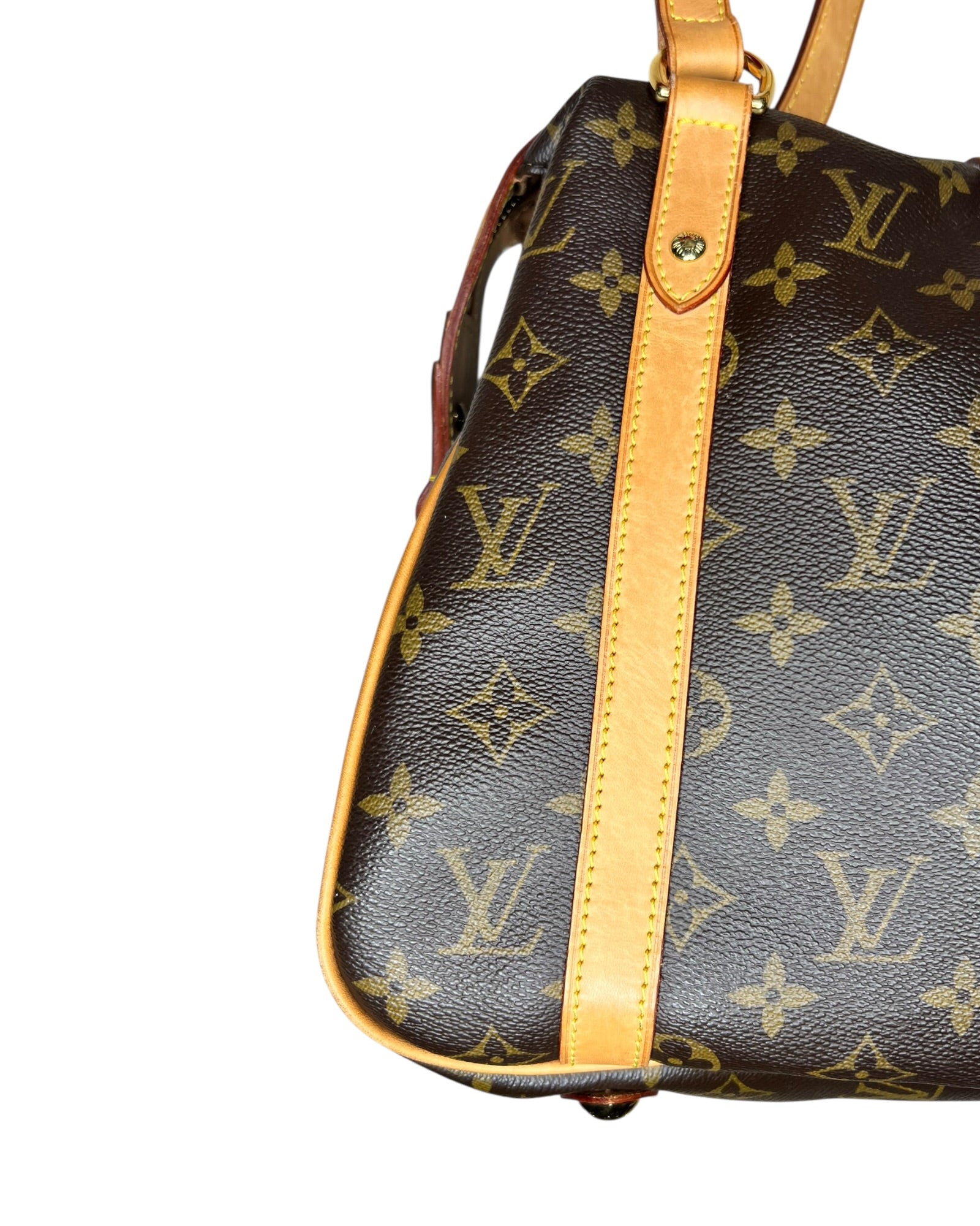 Louis Vuitton Stresa PM – Monogram Canvas - The Luxury Savvy