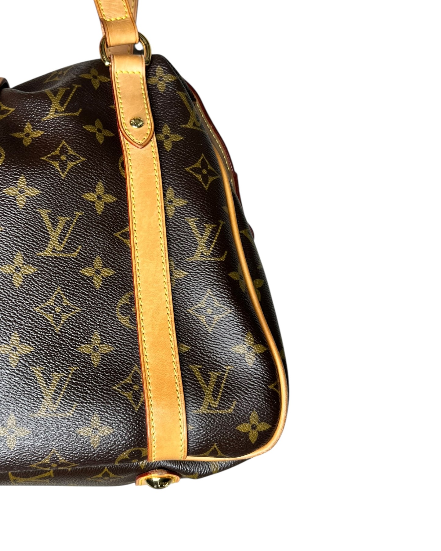 Louis Vuitton Stresa PM – Monogram Canvas - The Luxury Savvy