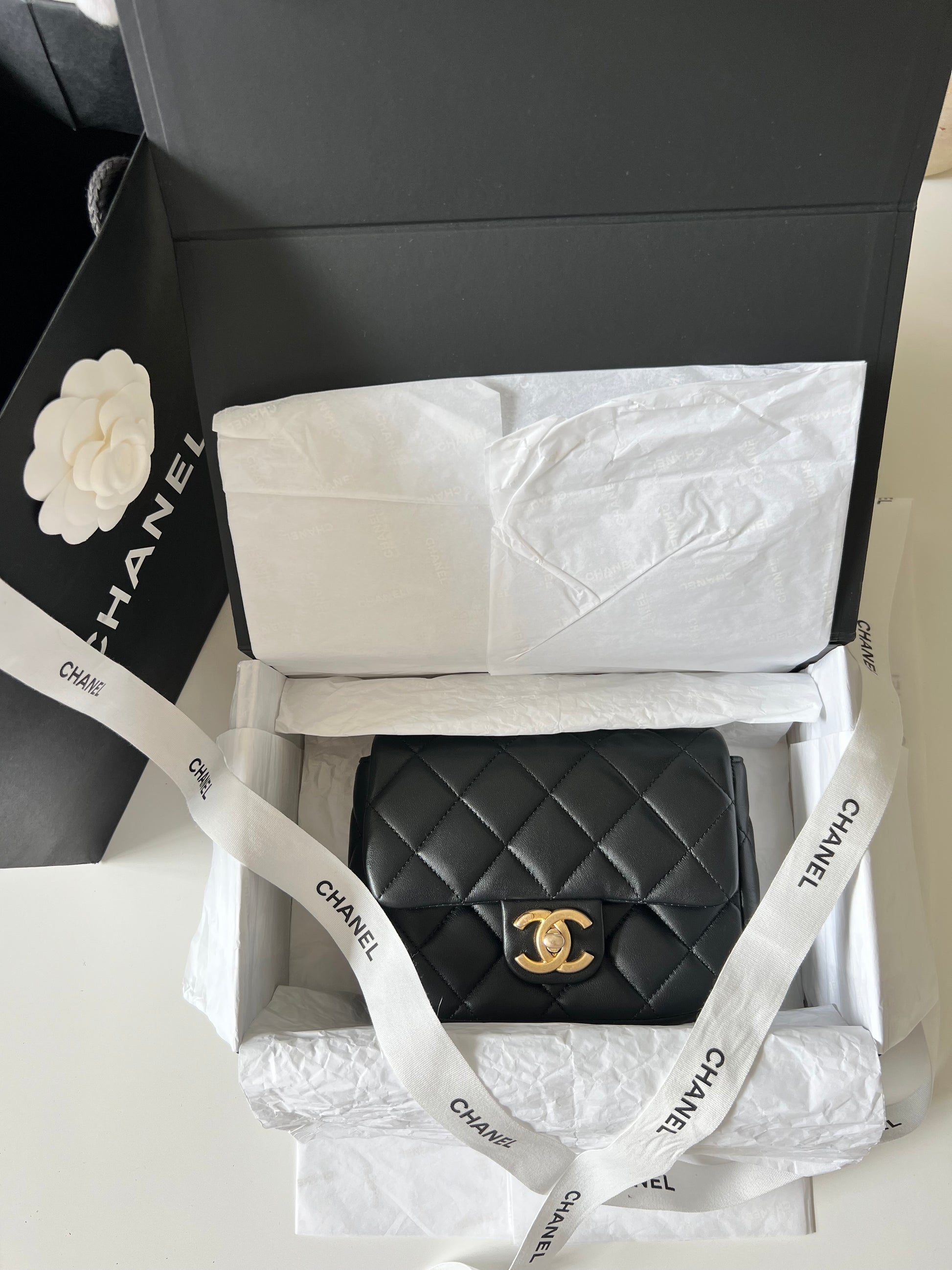 CHANEL SEASONAL MINI FLAP BAG - The Luxury Savvy