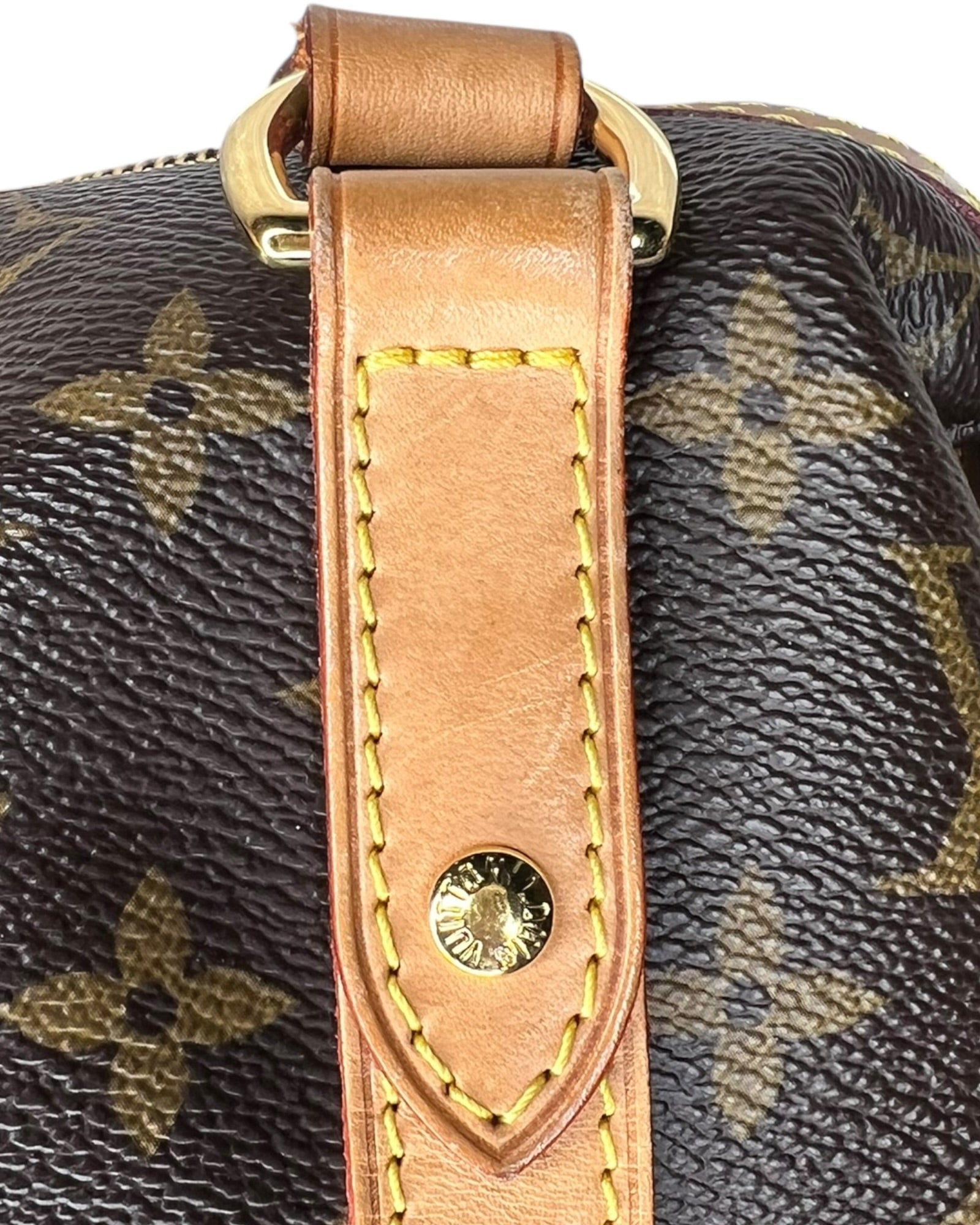 Louis Vuitton Stresa PM – Monogram Canvas - The Luxury Savvy