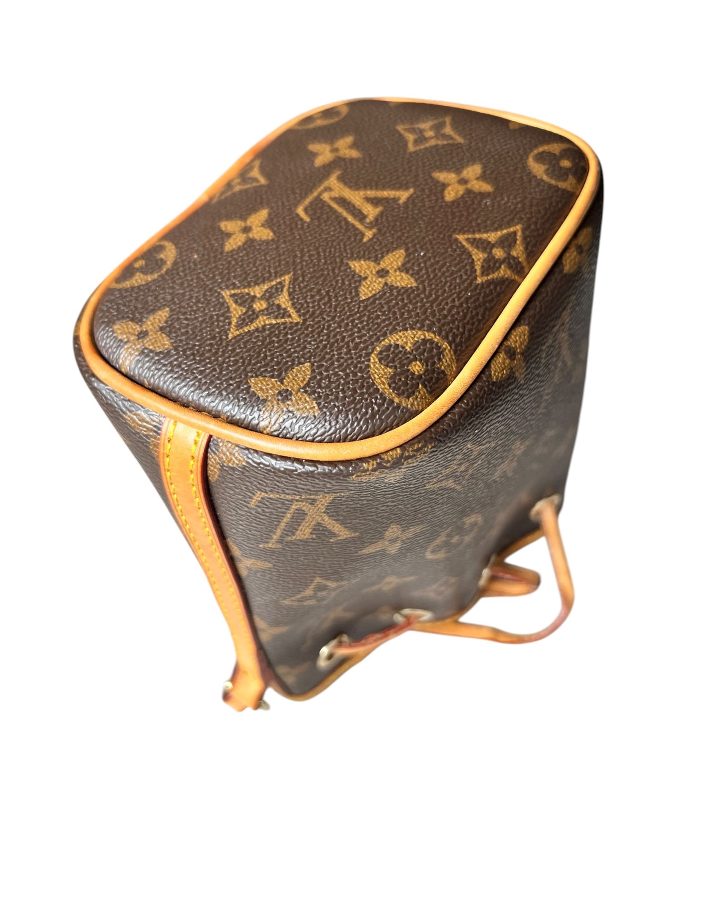 Louis Vuitton Monogram Nano Noé – Brown