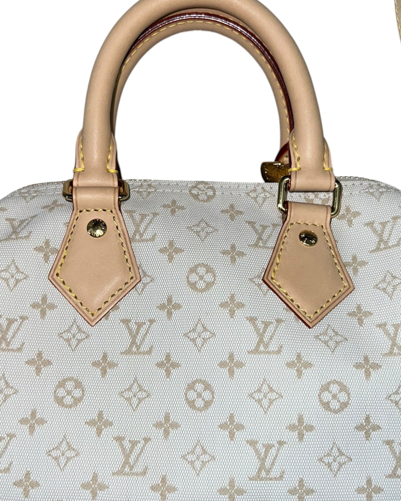 Louis Vuitton Speedy Bandoulière 20 – Mastic Cream Monogram - The Luxury Savvy