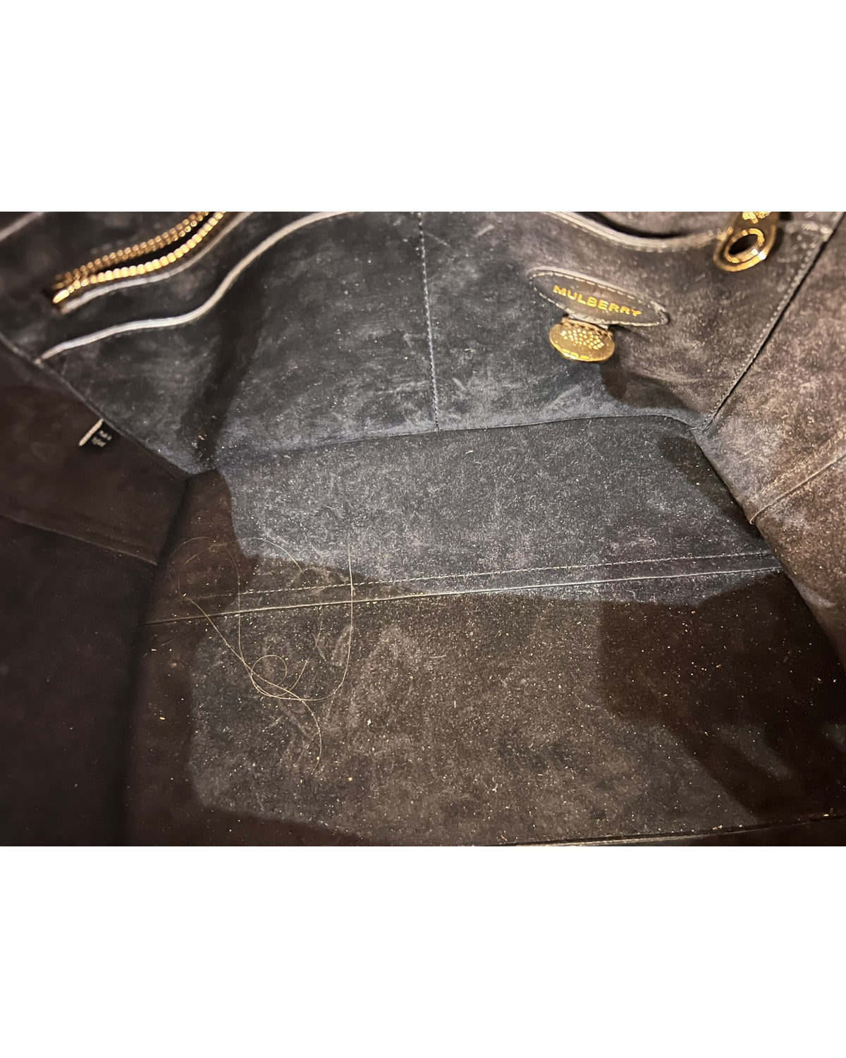 Mulberry Willow Tote Bag