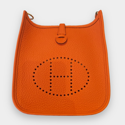 Hermes Evelyne TPM / Mini Amazone - The Luxury Savvy