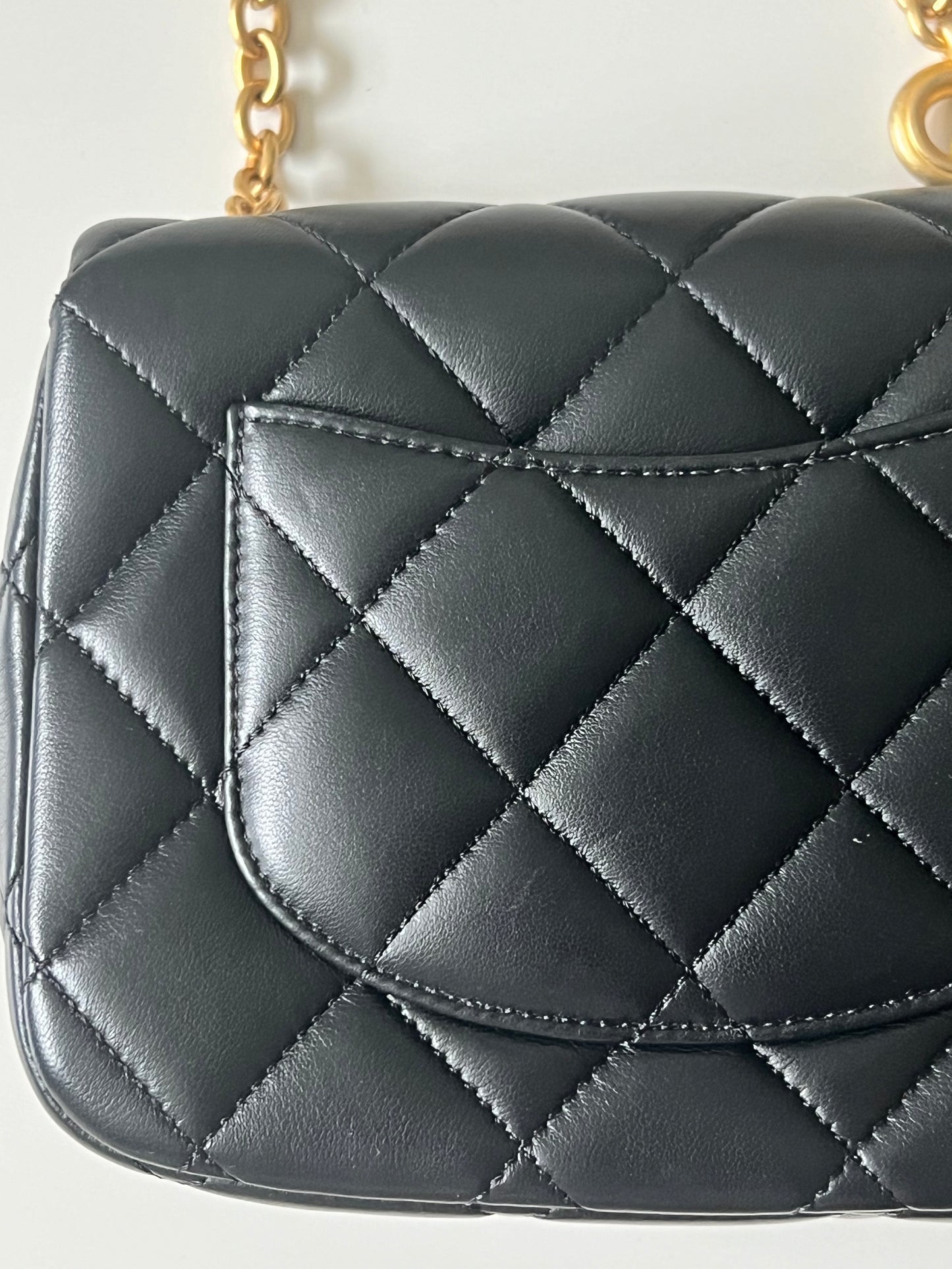 CHANEL SEASONAL MINI FLAP BAG - The Luxury Savvy