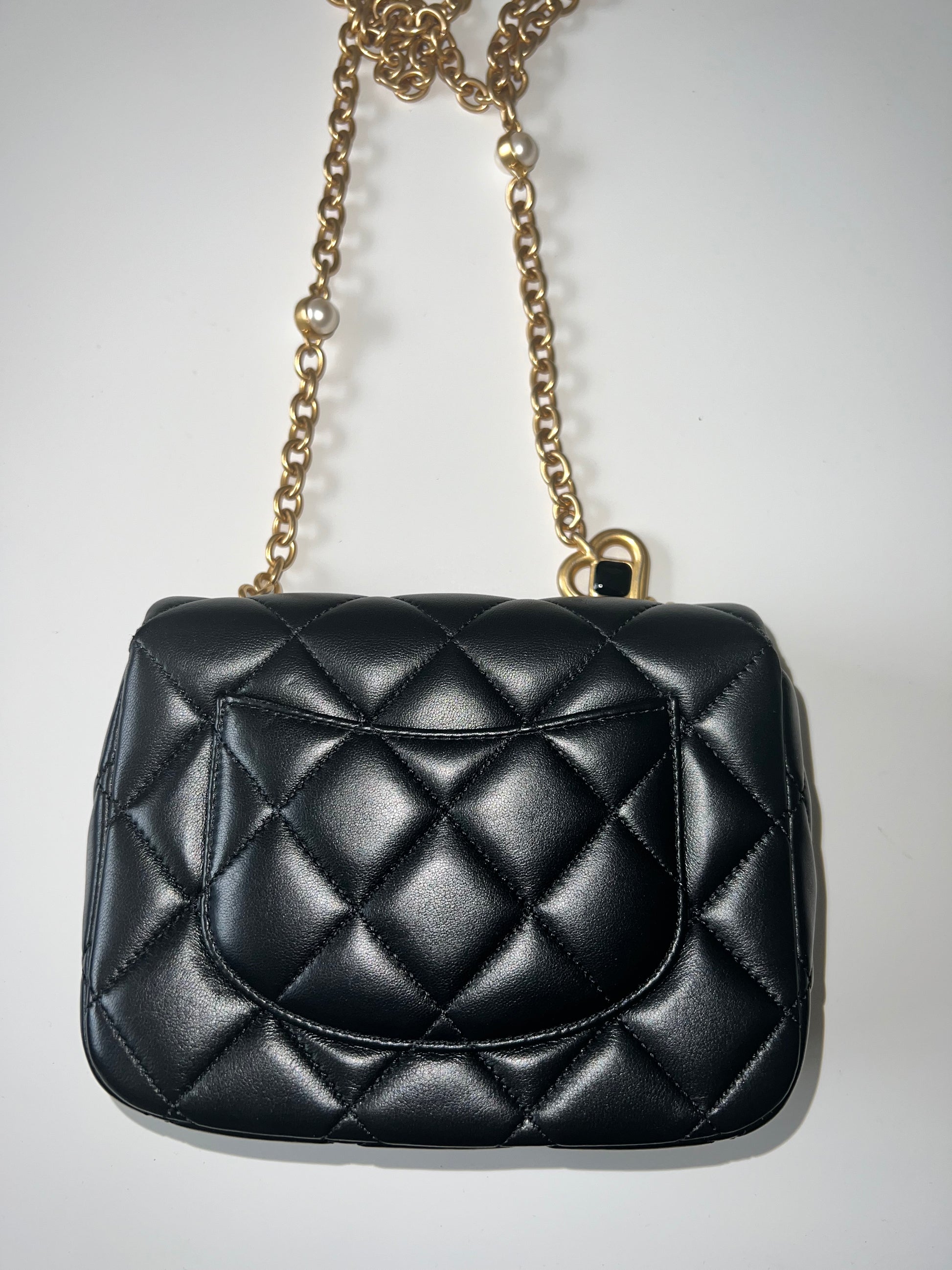 CHANEL SEASONAL MINI FLAP BAG - The Luxury Savvy