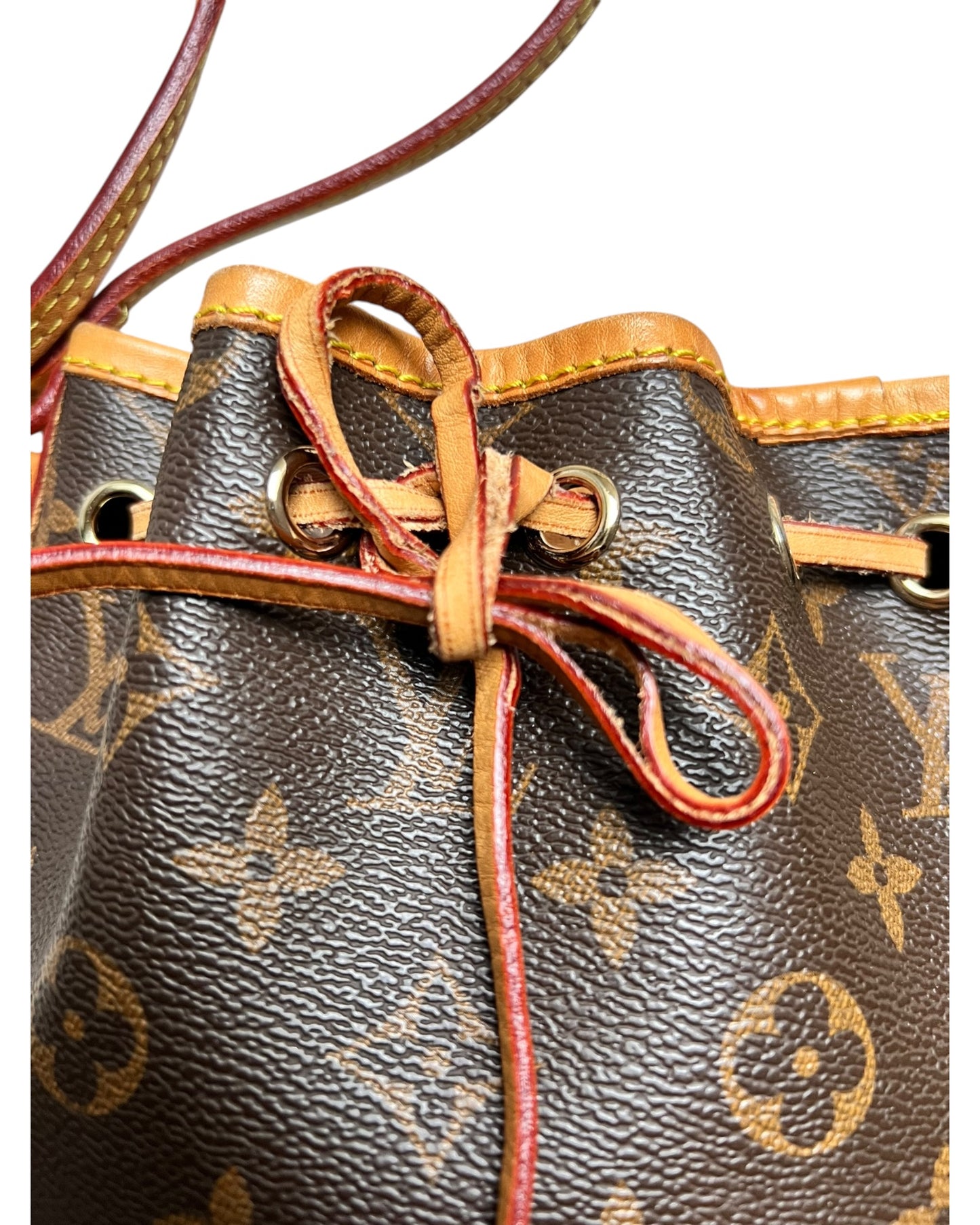 Louis Vuitton Monogram Nano Noé – Brown