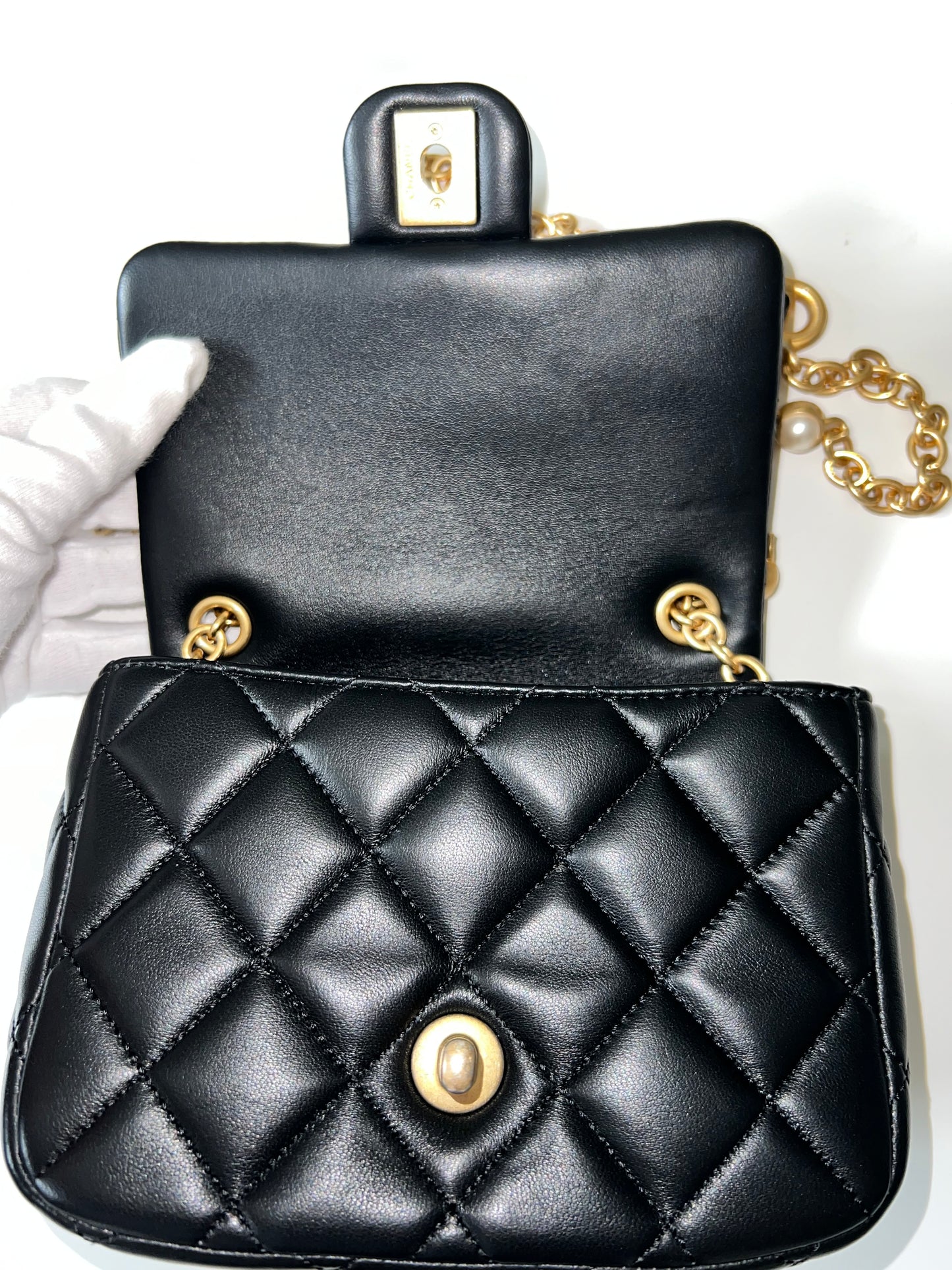 CHANEL SEASONAL MINI FLAP BAG - The Luxury Savvy