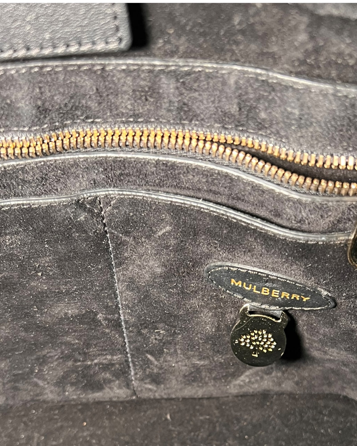Mulberry Willow Tote Bag