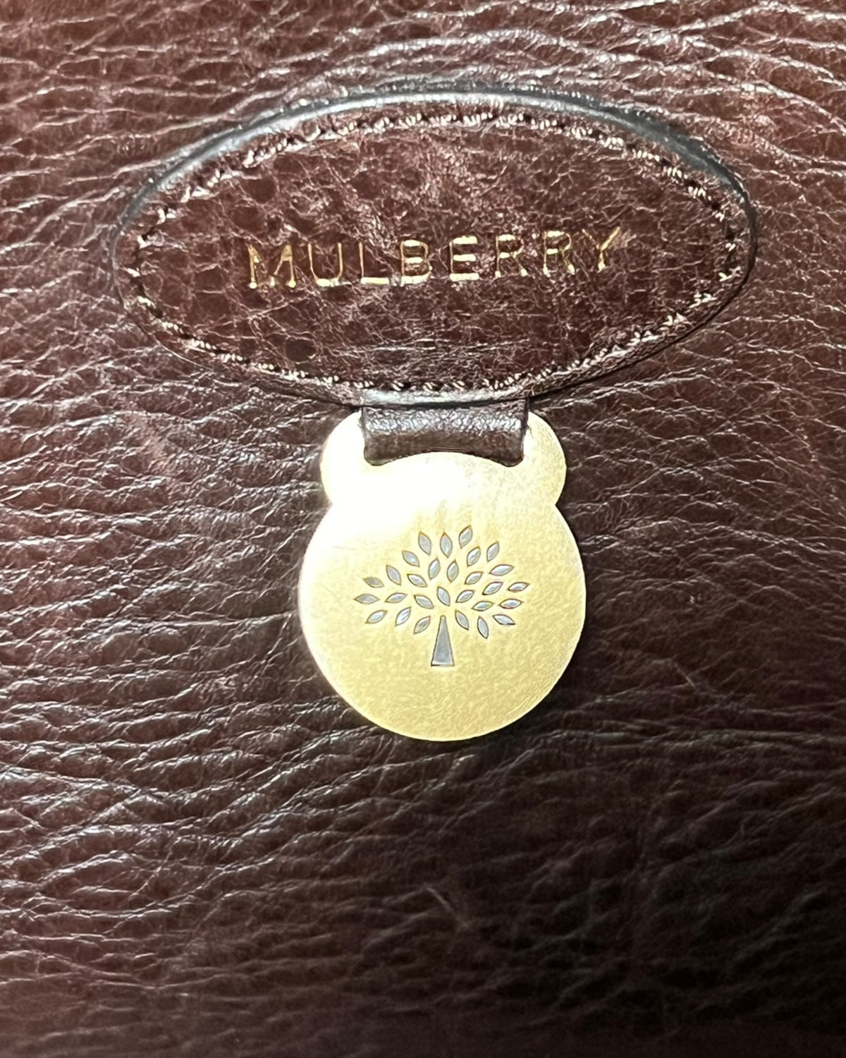 Mulberry Bayswater Tote – Brown