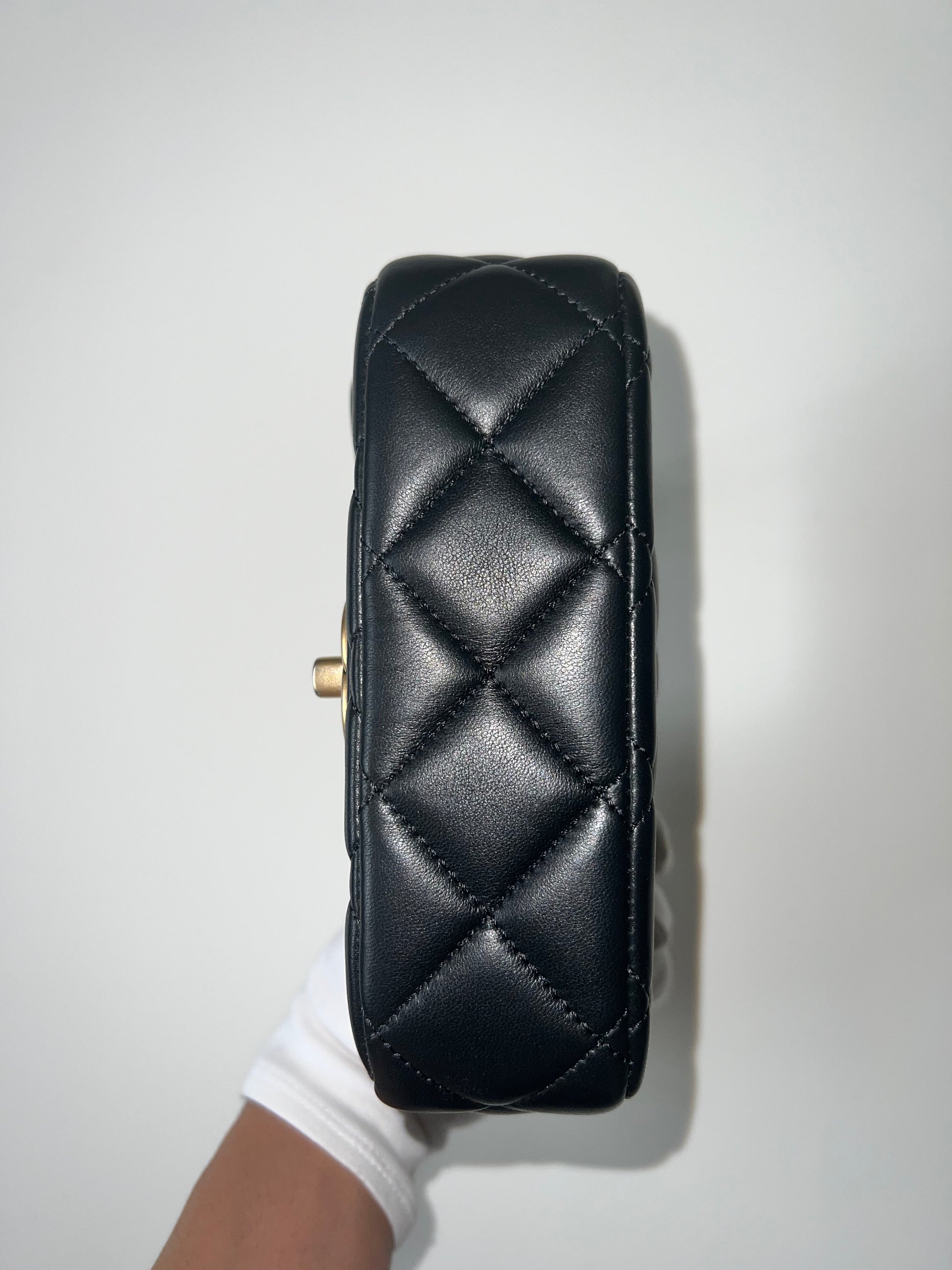 CHANEL SEASONAL MINI FLAP BAG - The Luxury Savvy