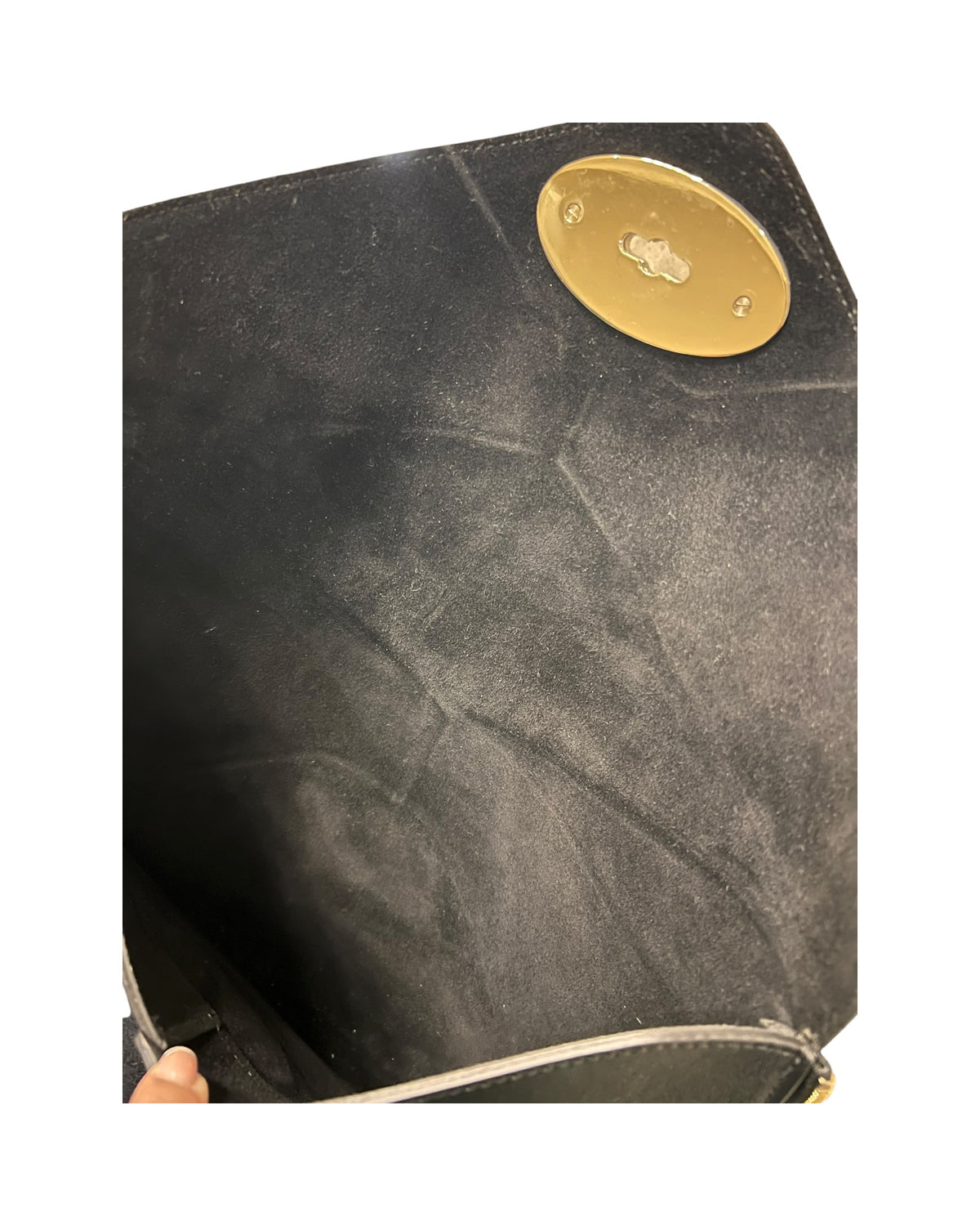 Mulberry Willow Tote Bag