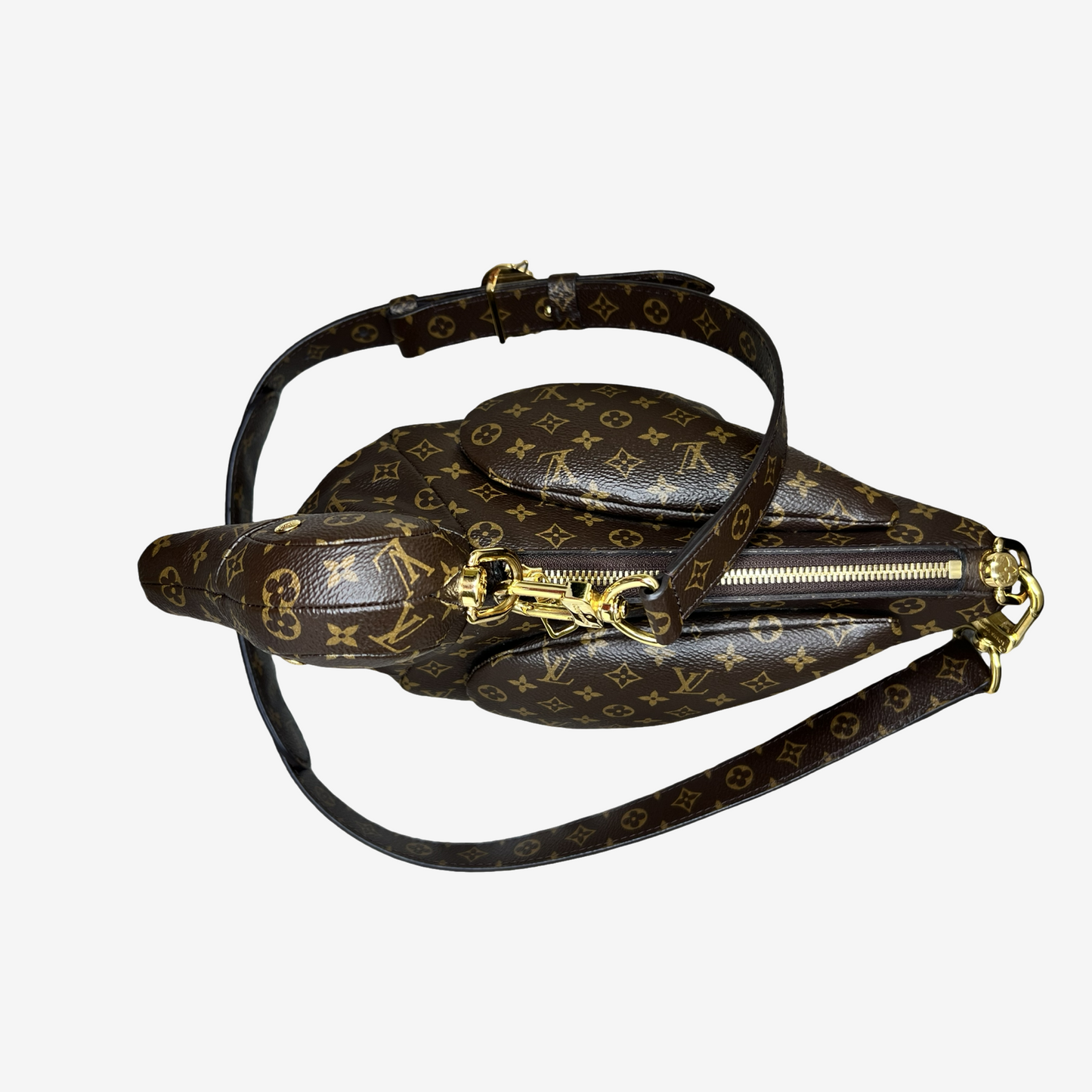 LOUIS VUITTON X NIGO DUCK BAG