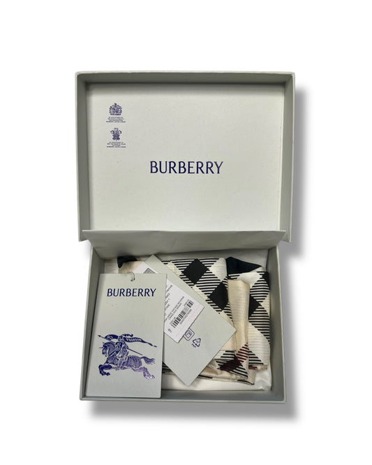 Burberry Skinny Scarf