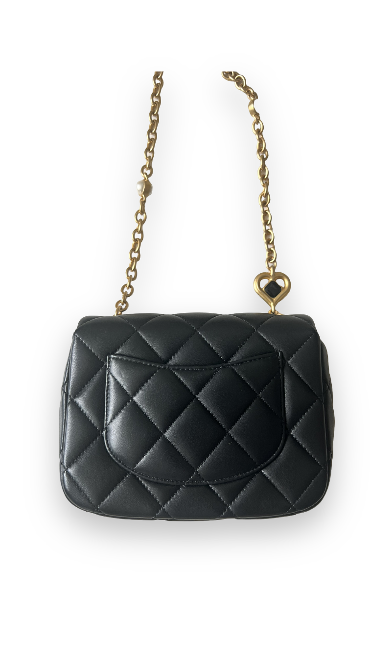 CHANEL SEASONAL MINI FLAP BAG - The Luxury Savvy