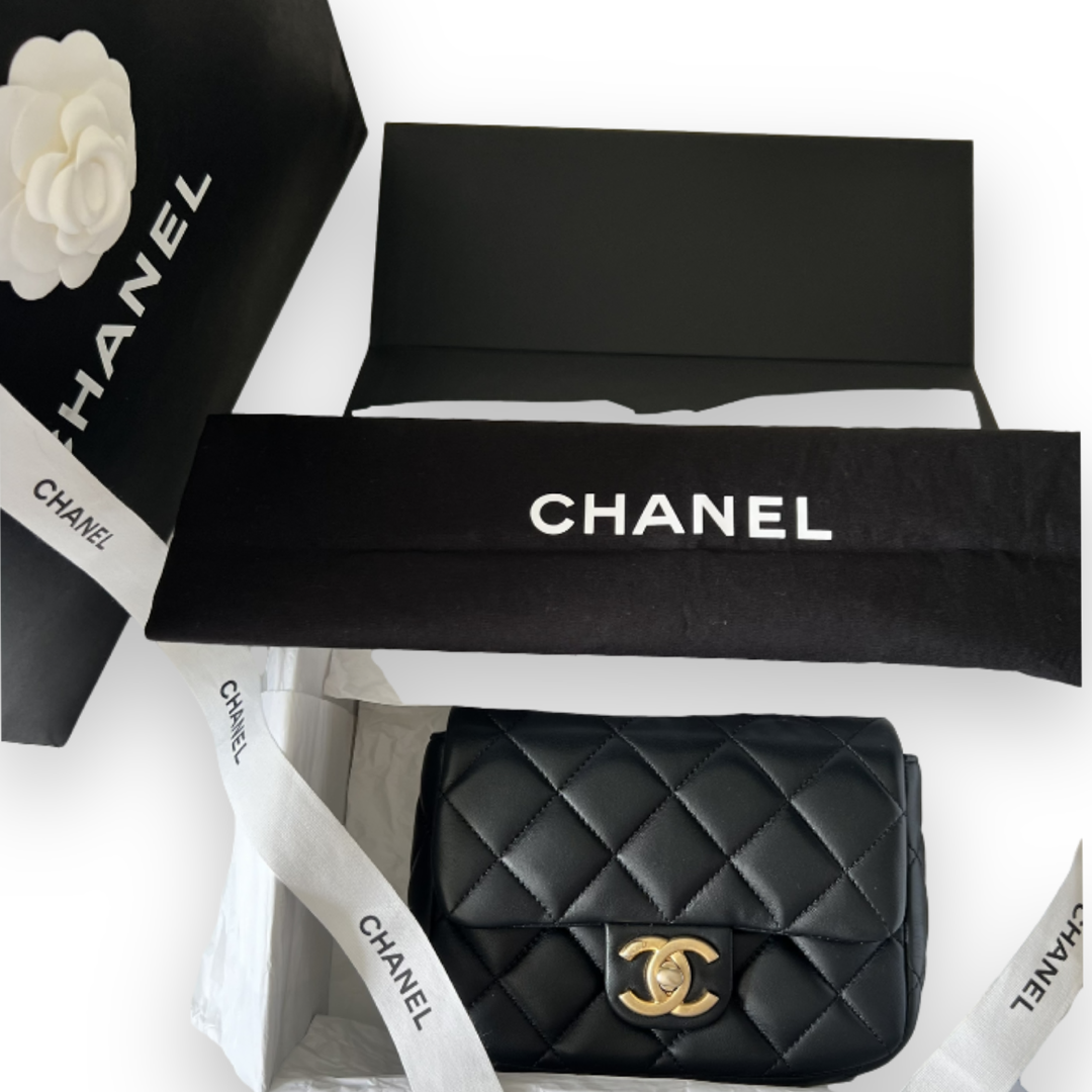 CHANEL SEASONAL MINI FLAP BAG - The Luxury Savvy