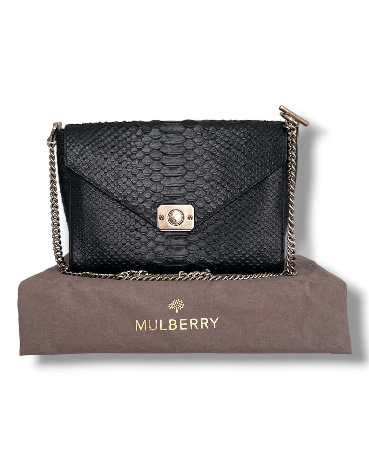 Mulberry Delphine Reversible Shoulder Bag – Midnight Blue &amp; Sky Blue Python-Embossed Leather - The Luxury Savvy