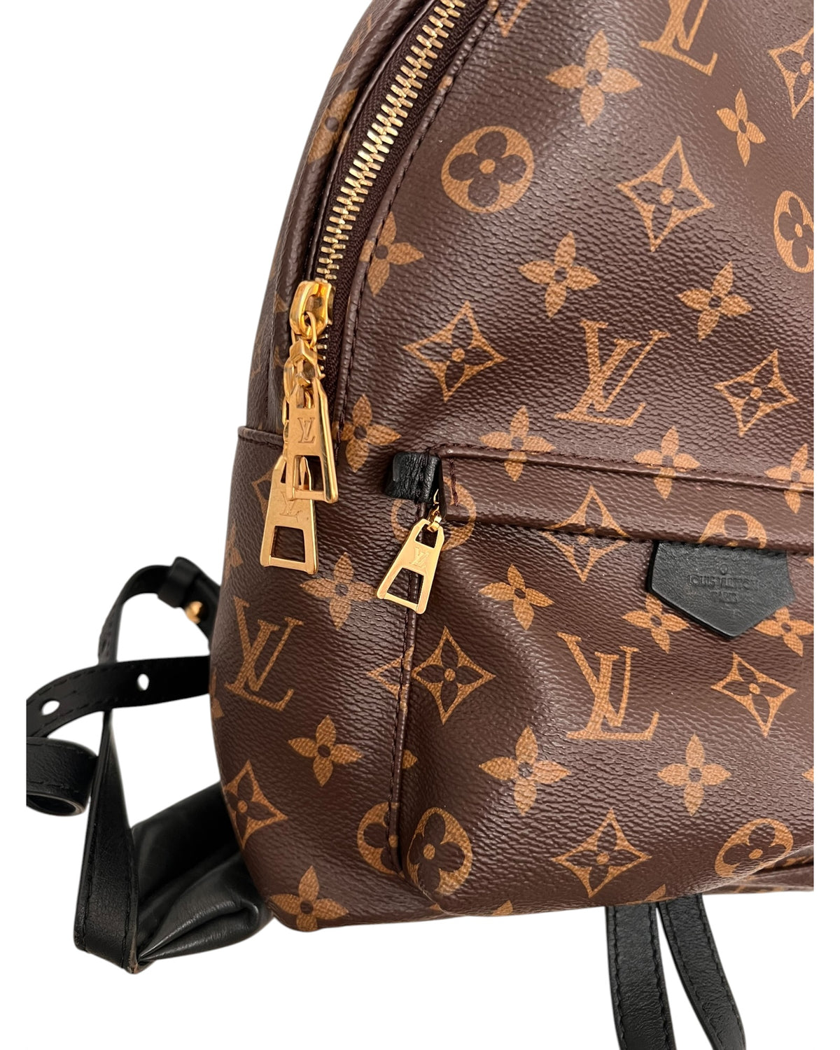 Louis Vuitton Palm Springs MM Backpack – Monogram Canvas - The Luxury Savvy