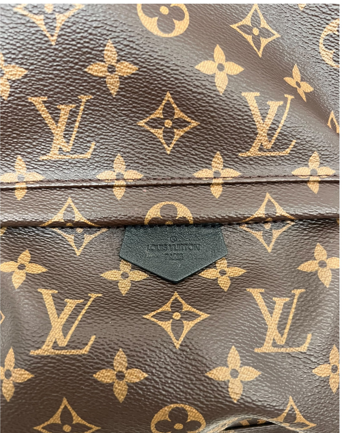 Louis Vuitton Palm Springs MM Backpack – Monogram Canvas - The Luxury Savvy