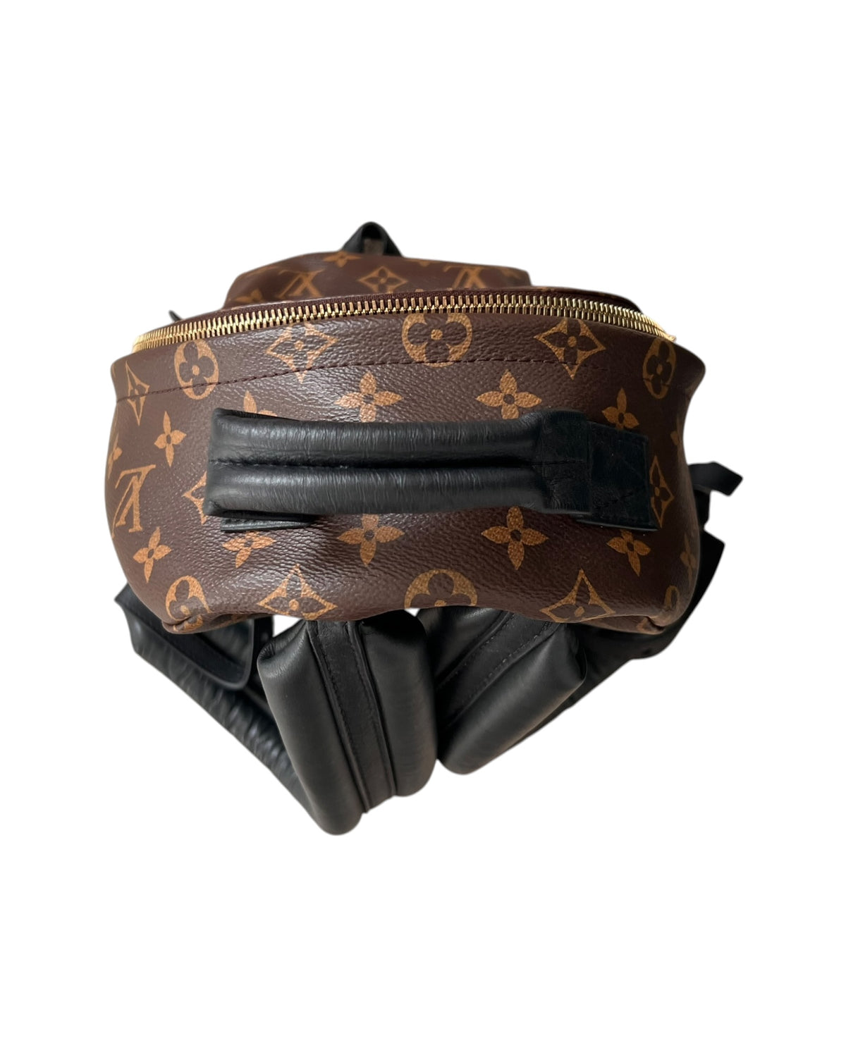 Louis Vuitton Palm Springs MM Backpack – Monogram Canvas - The Luxury Savvy