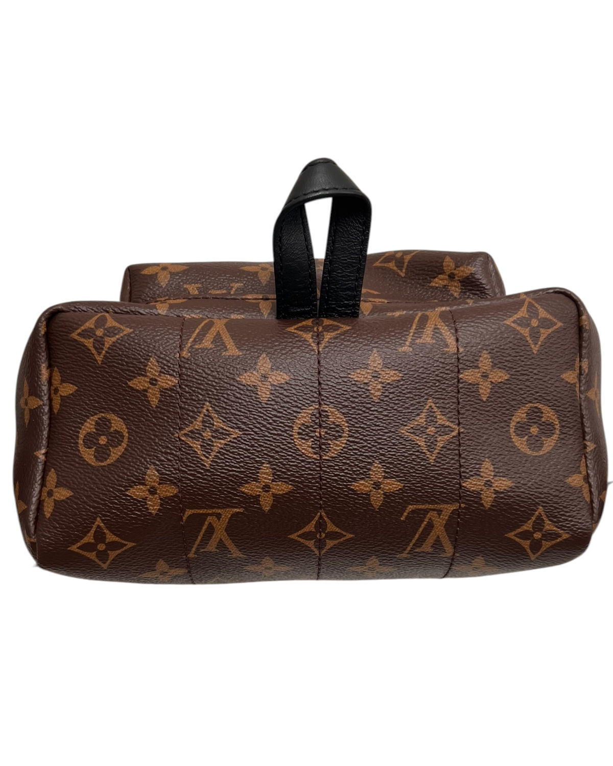 Louis Vuitton Palm Springs MM Backpack – Monogram Canvas - The Luxury Savvy