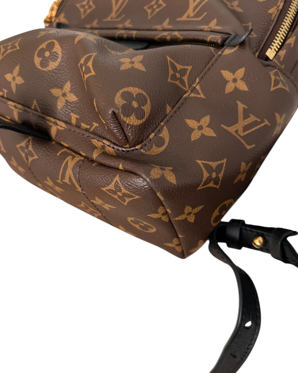 Louis Vuitton Palm Springs MM Backpack – Monogram Canvas - The Luxury Savvy